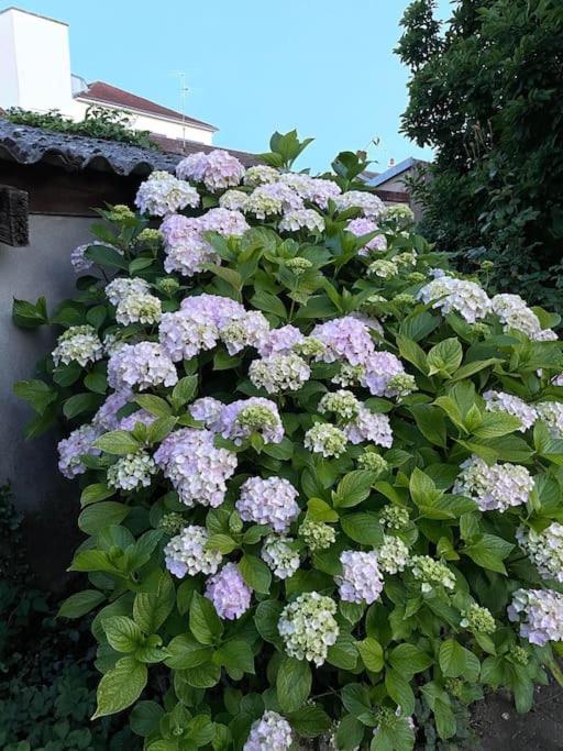 La Casa Del Papa - Maison Spacieuse Avec Jardin Villa Dole Exteriör bild